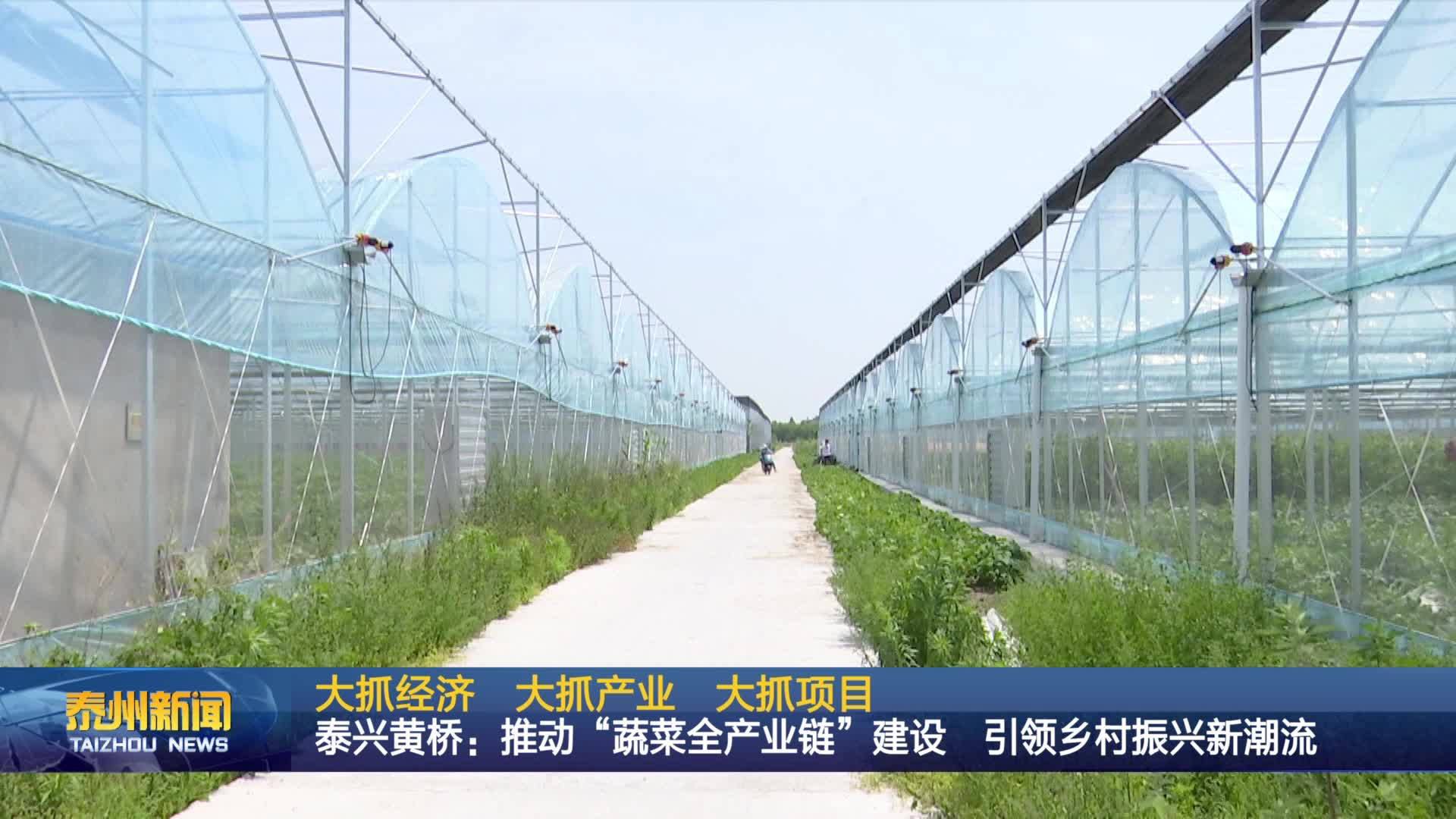 大抓经济 大抓产业 大抓项目  泰兴黄桥：推动“蔬菜全产业链”建设 引领乡村振兴新潮流