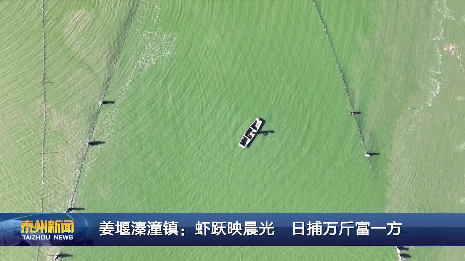 在希望的田野上  姜堰溱潼镇：虾跃映晨光 日捕万斤富一方